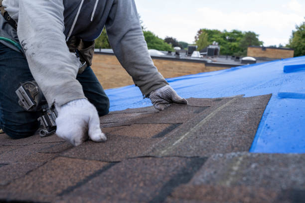 Professional Roofing Contractor in Rockwood, TN