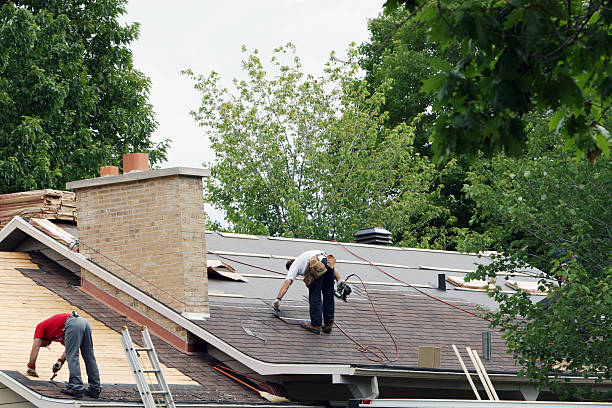 Best Storm Damage Roof Repair  in Rockwood, TN