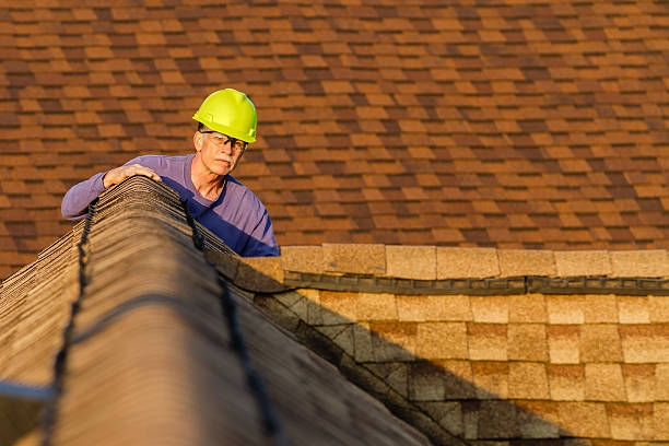 Best Roof Waterproofing Services  in Rockwood, TN
