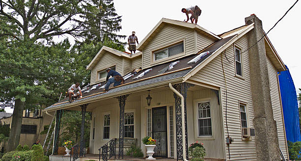 Best Flat Roof Repair Services  in Rockwood, TN